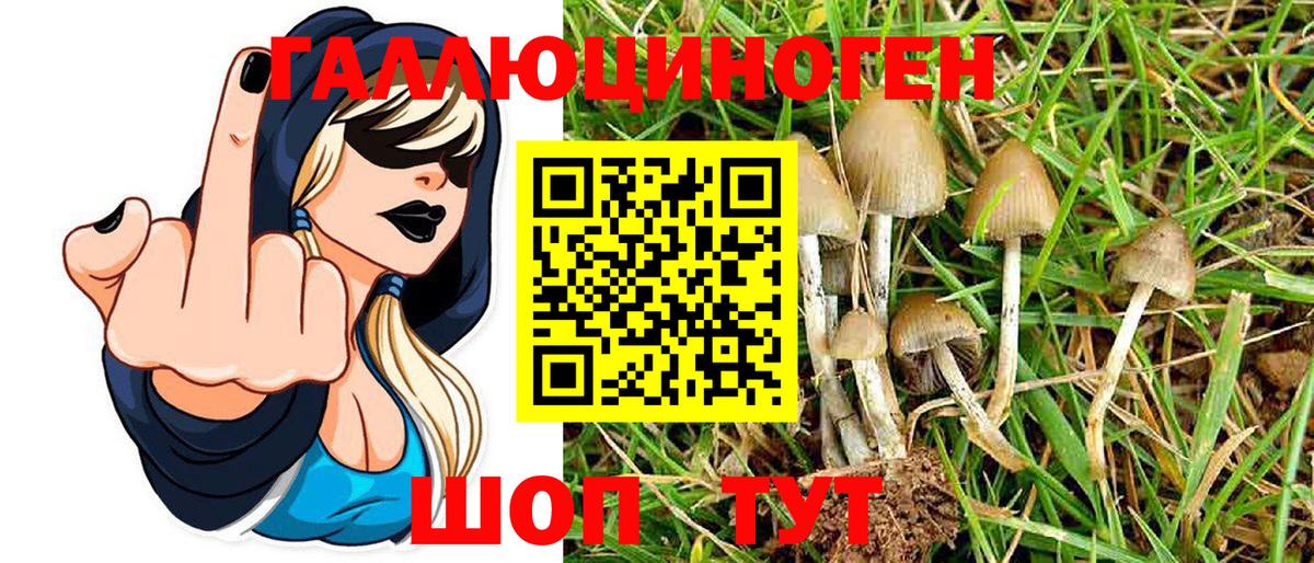 Выкса  Псилоцибиновые грибы Magic Shrooms  Вход с VPN 